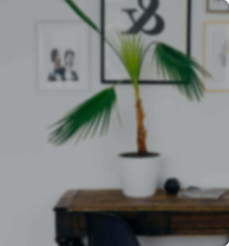 نمای کلی افزونه